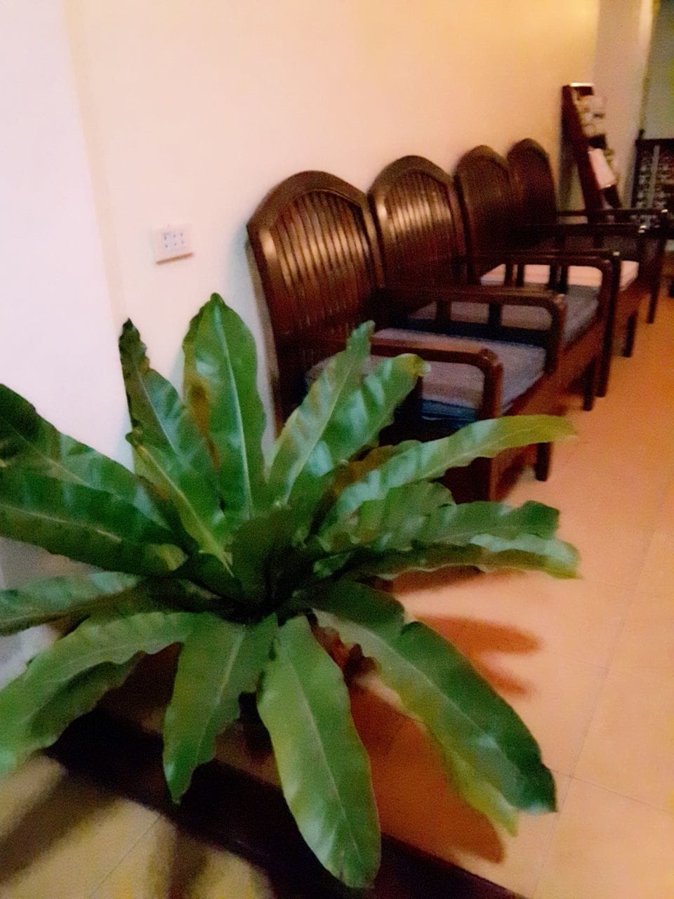 Phone Praseuth Guesthouse