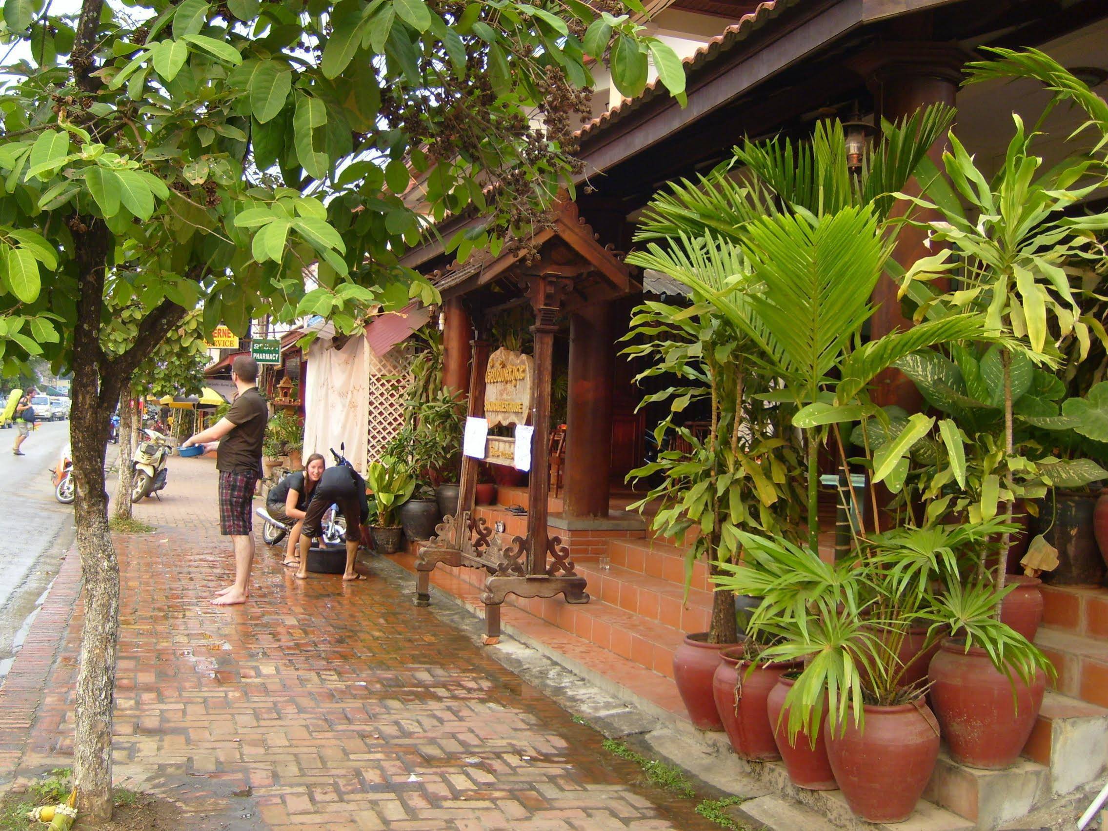 Sakura Hotel