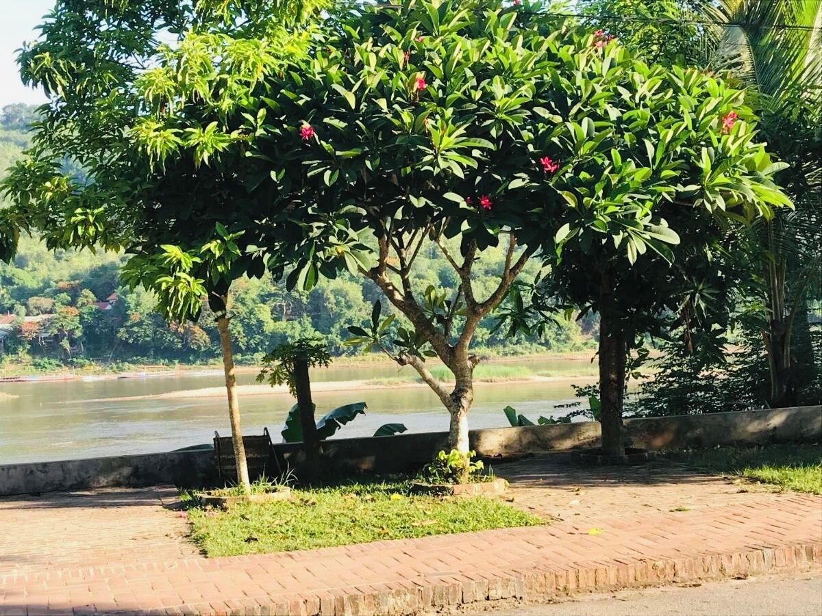 Thip Villa Mekong Riverside