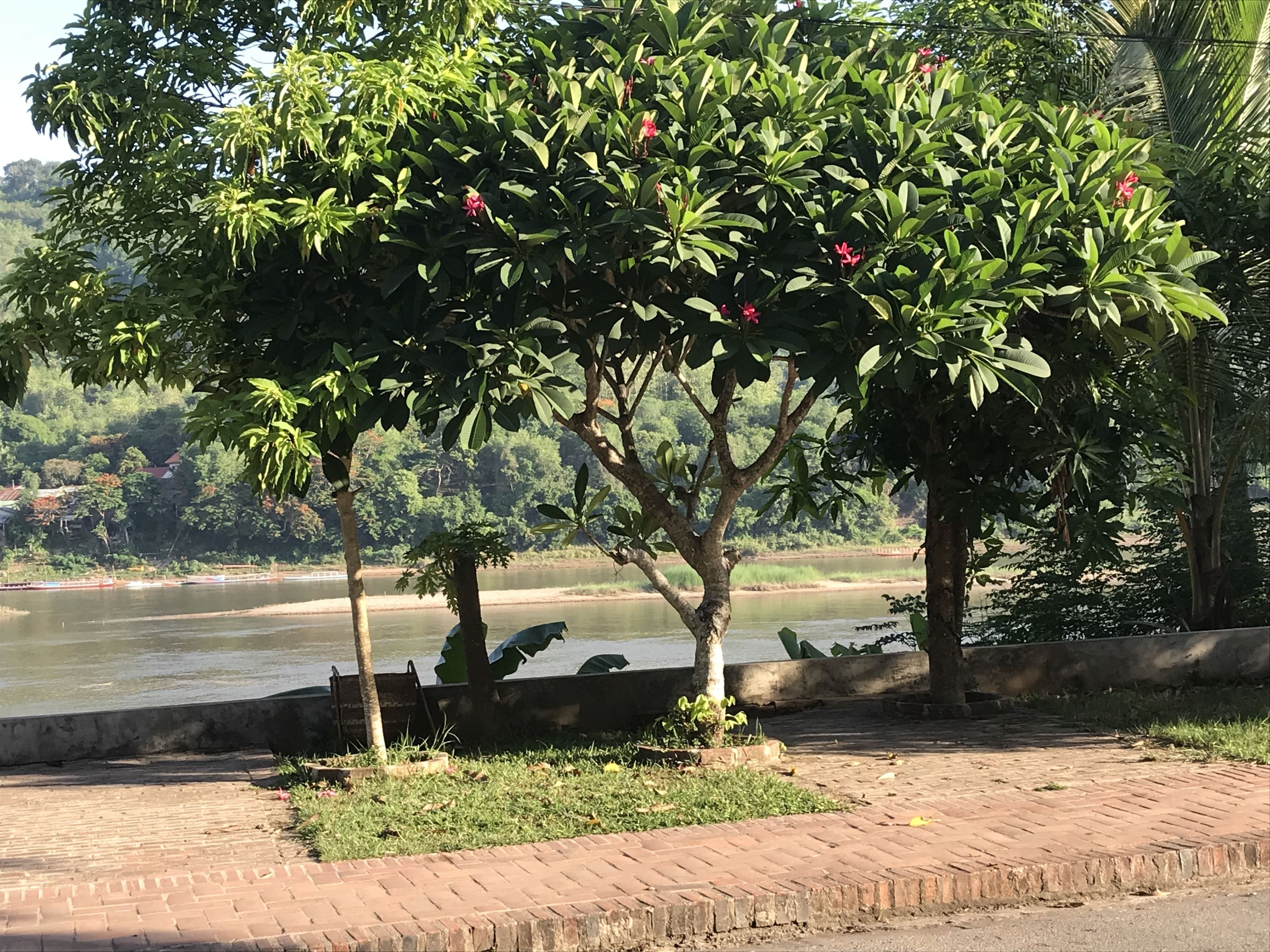 Thip Villa Mekong Riverside