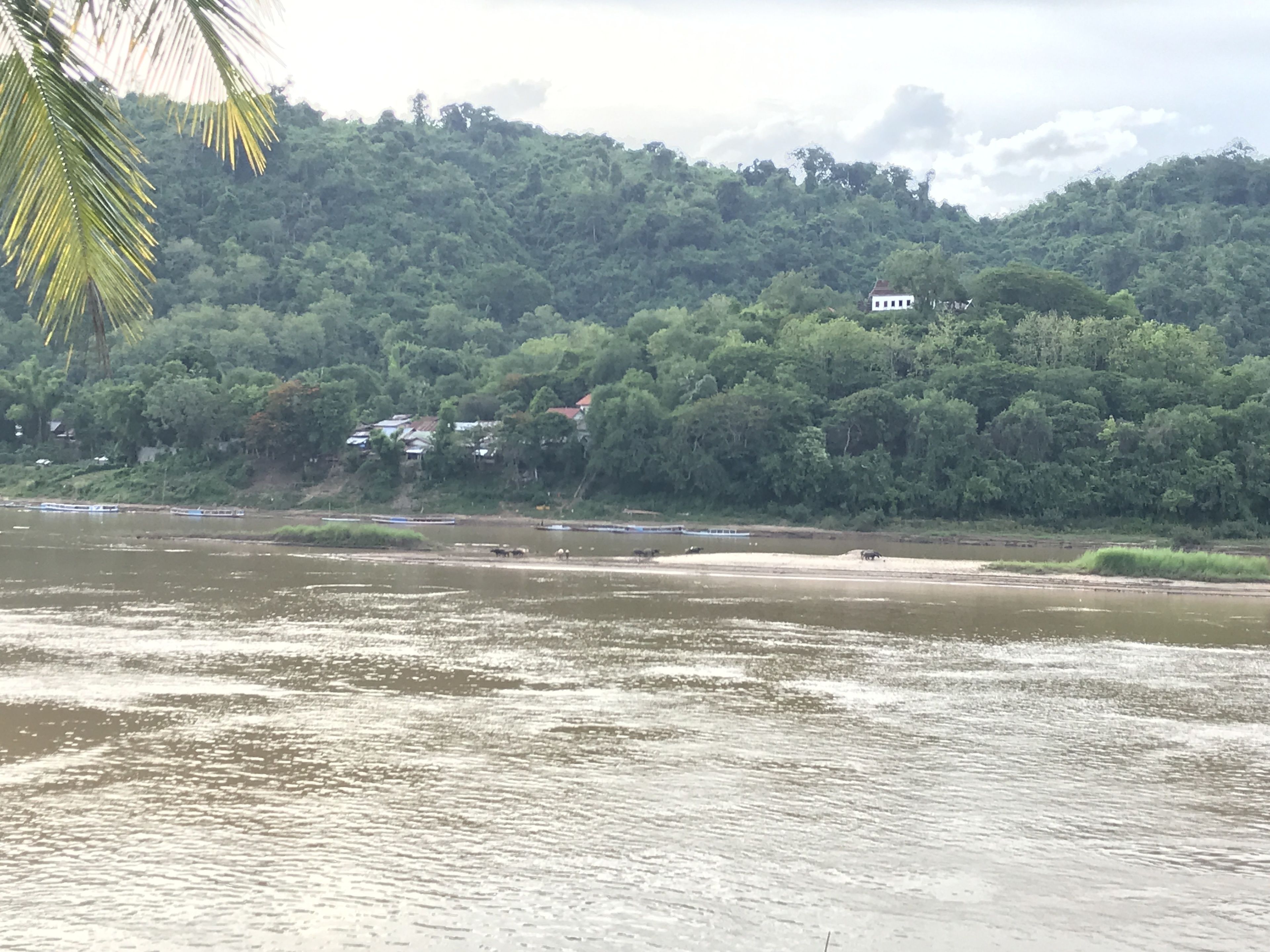 Thip Villa Mekong Riverside