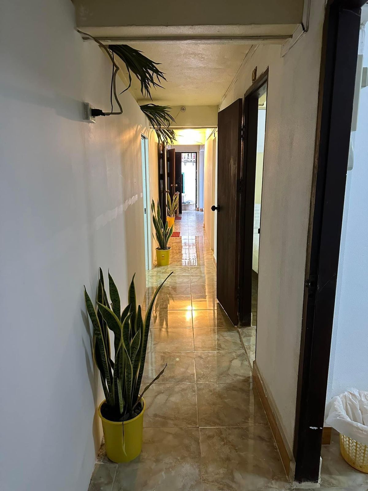 Tingkham Guesthouse
