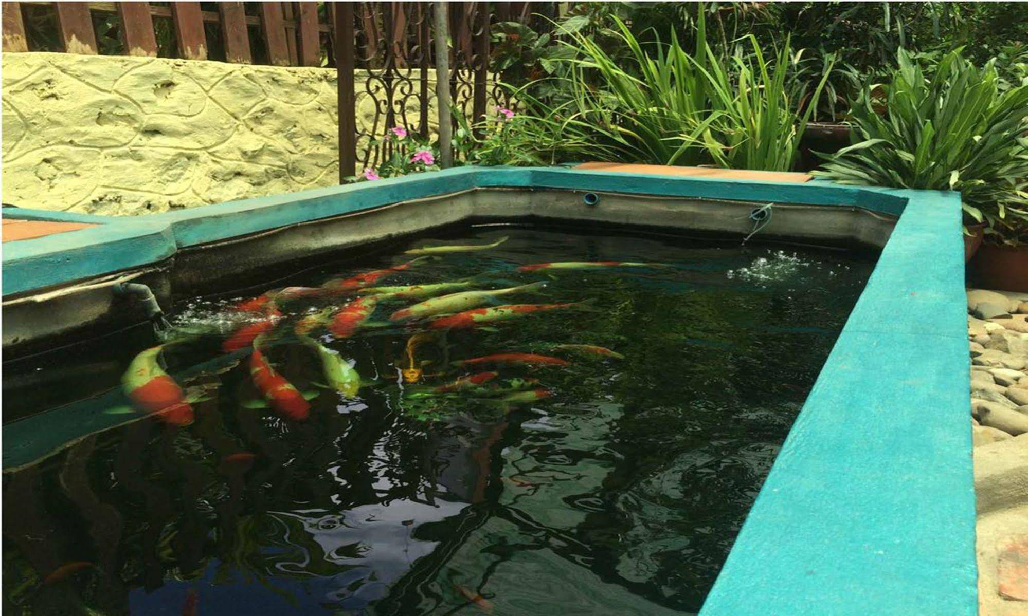 Vanvisa Guesthouse