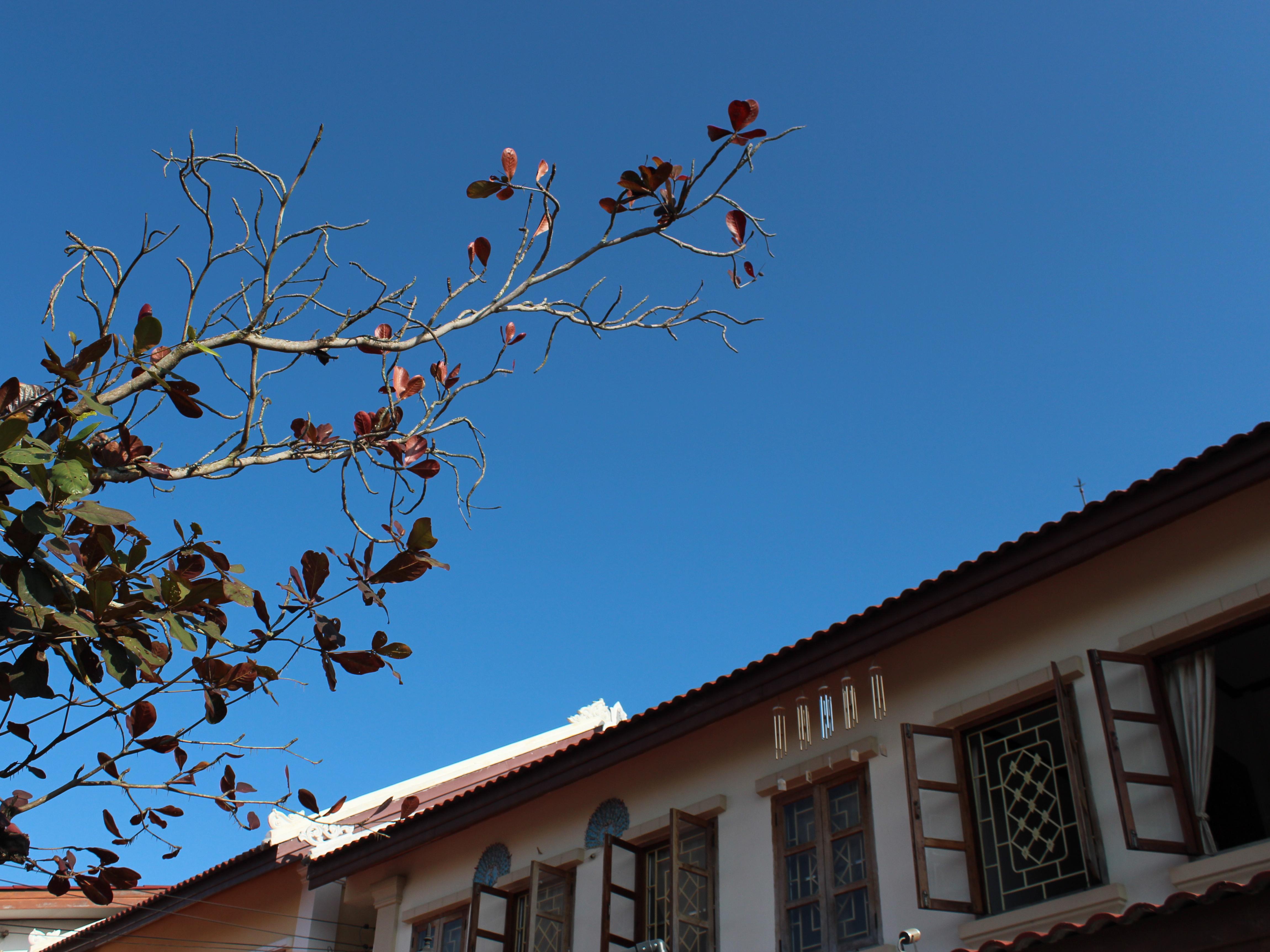 Villa Xanadu