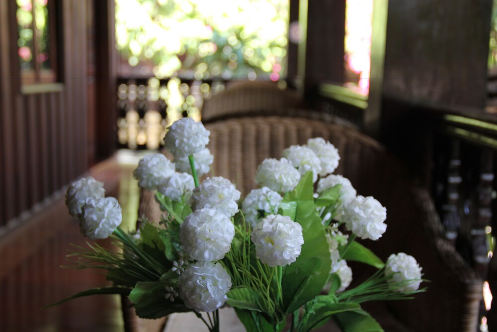 Wisdom Laos Hotel