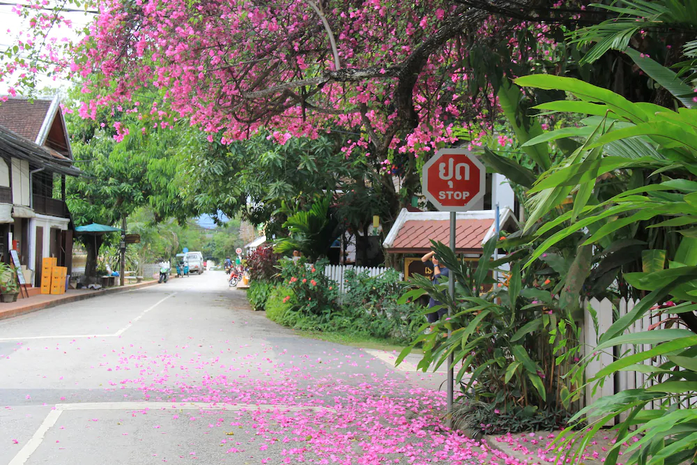 Wisdom Laos Hotel