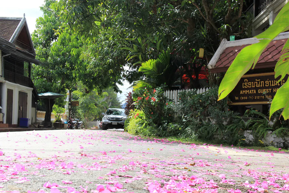 Wisdom Laos Hotel