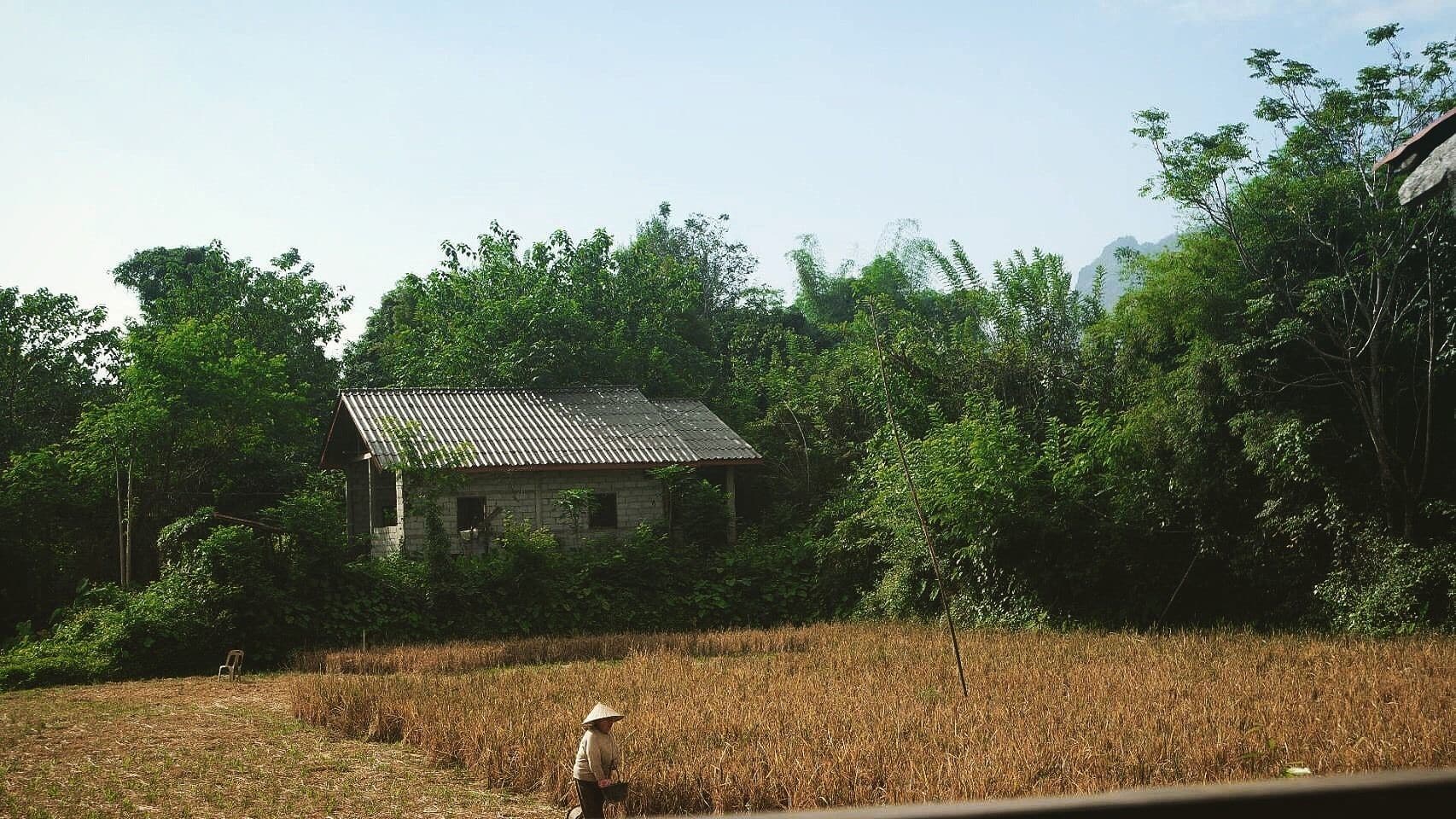 Jammee Guesthouse