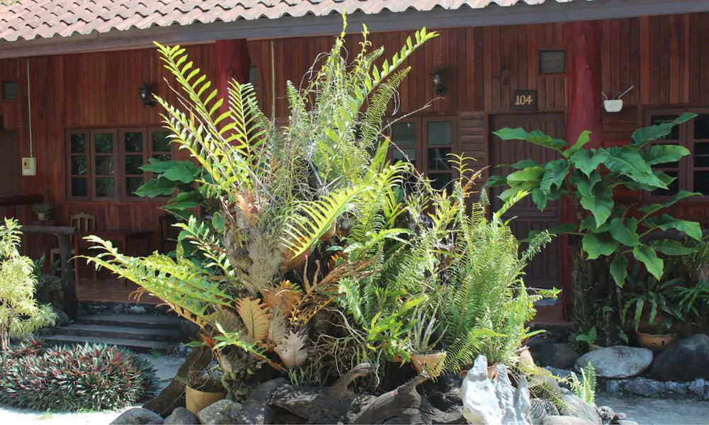 Vang Vieng Garden Bungalow