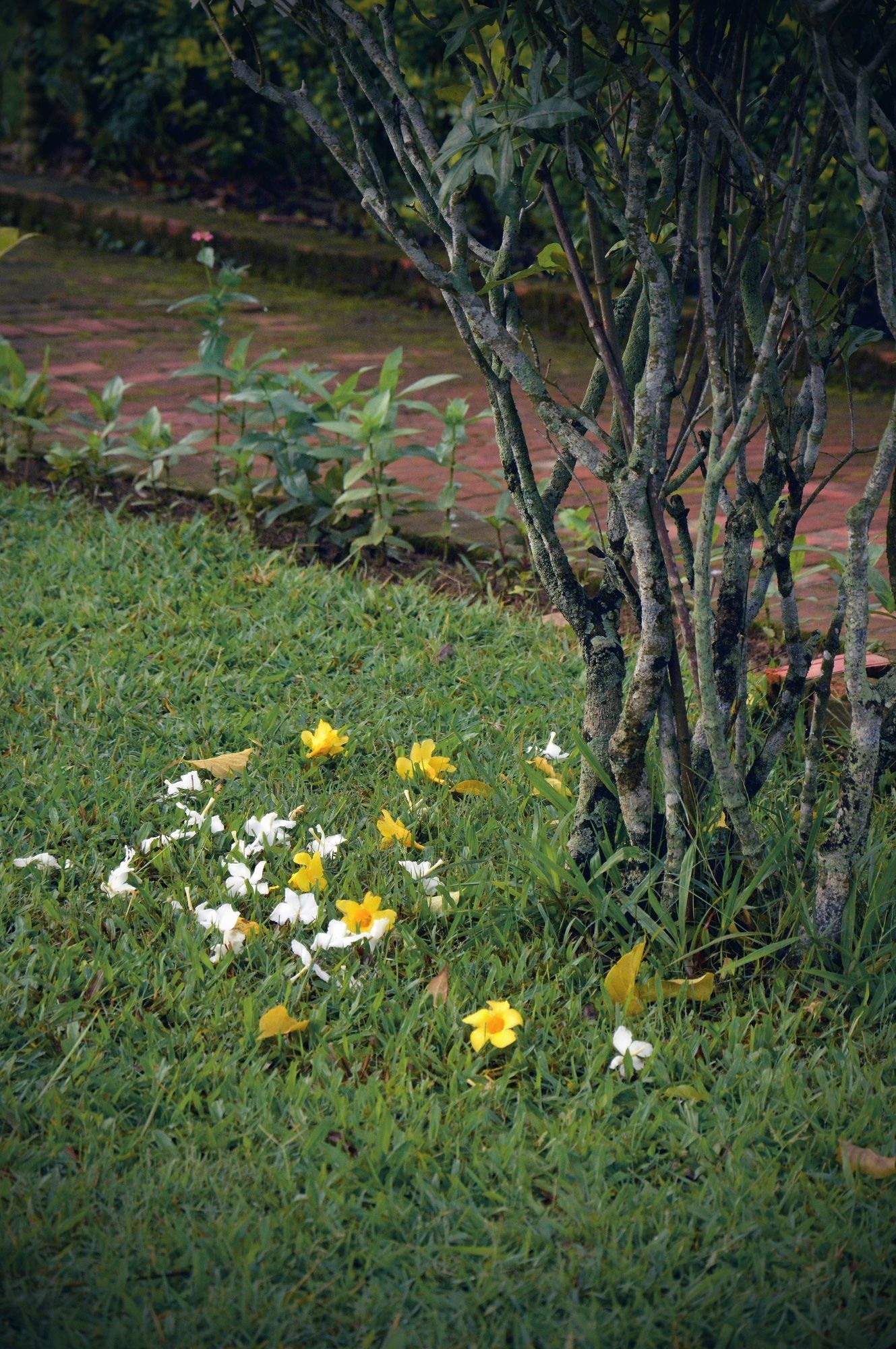 Villa Nam Song