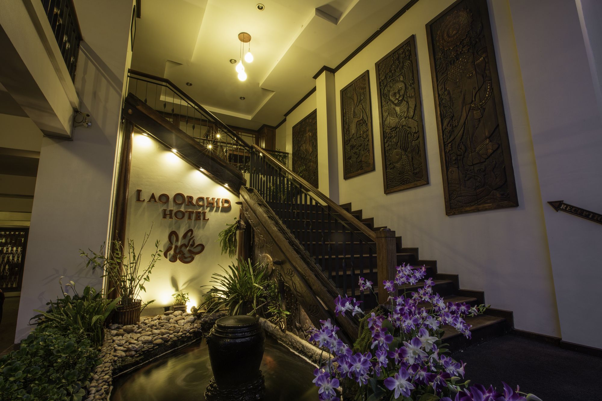 Lao Orchid