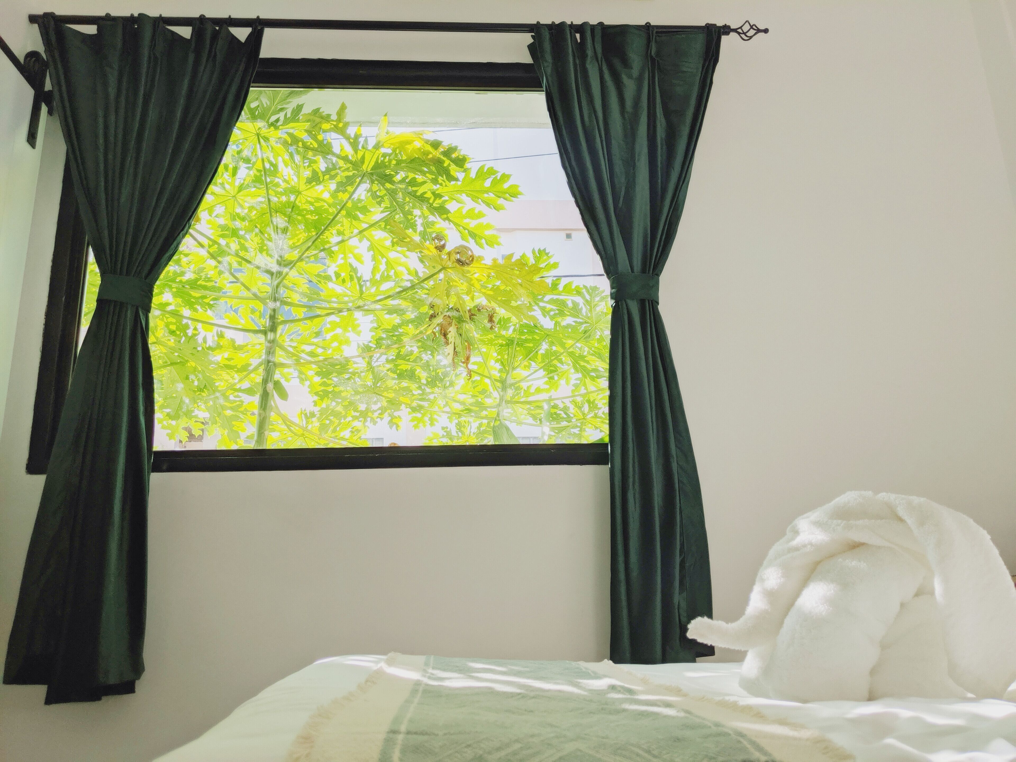 Syri Guesthouse