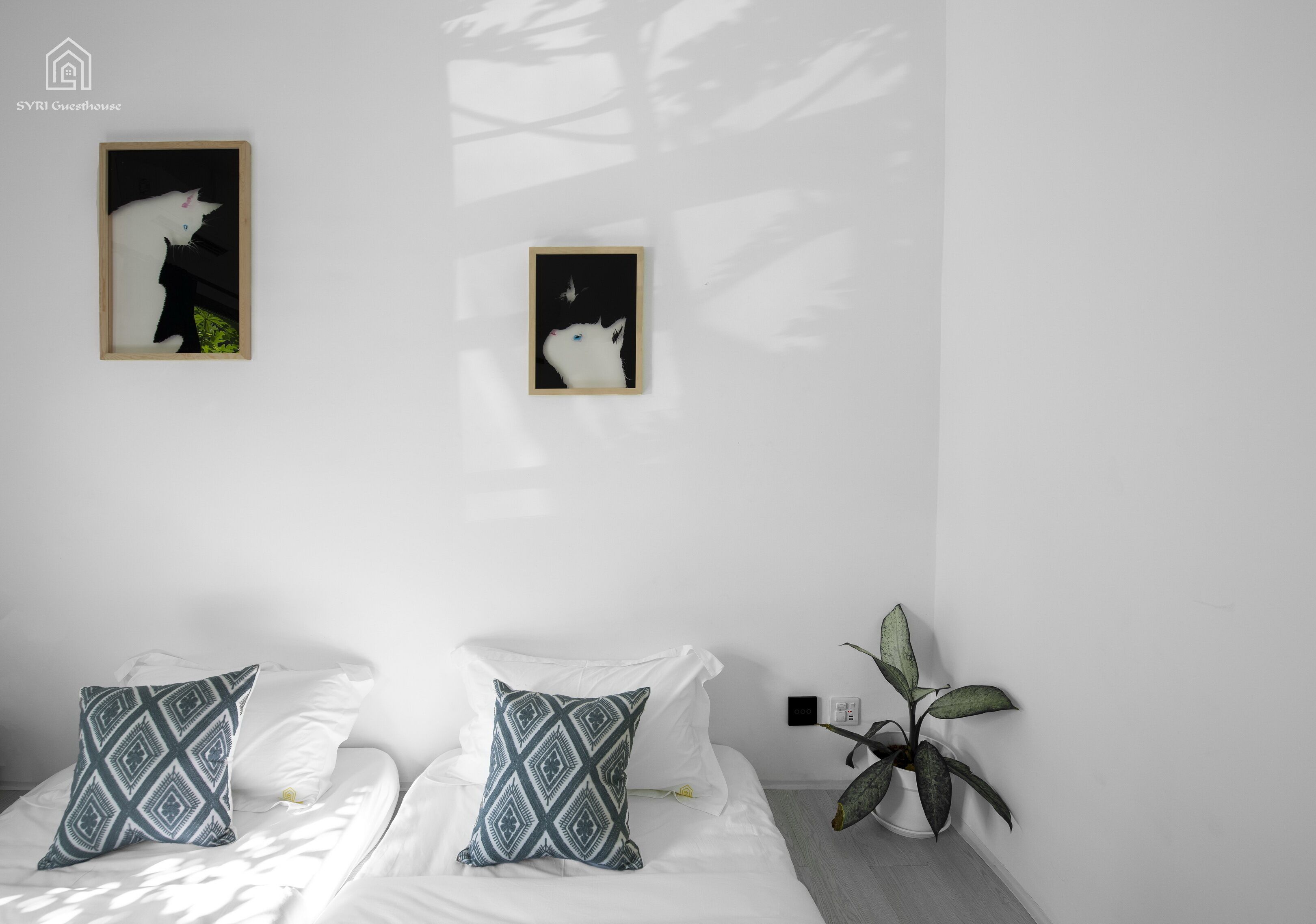 Syri Guesthouse