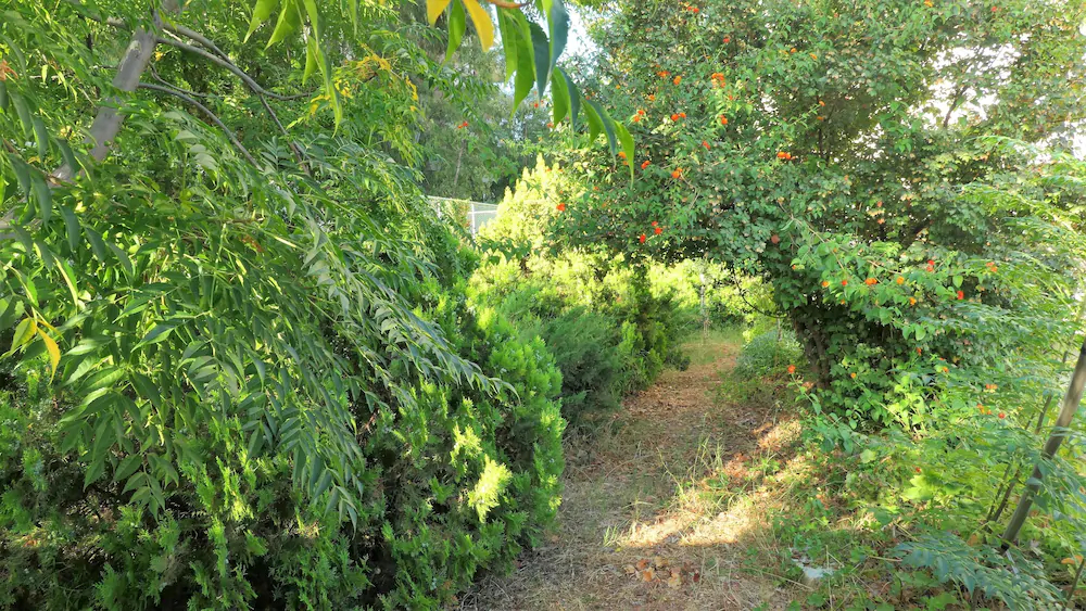 Green Hill Village