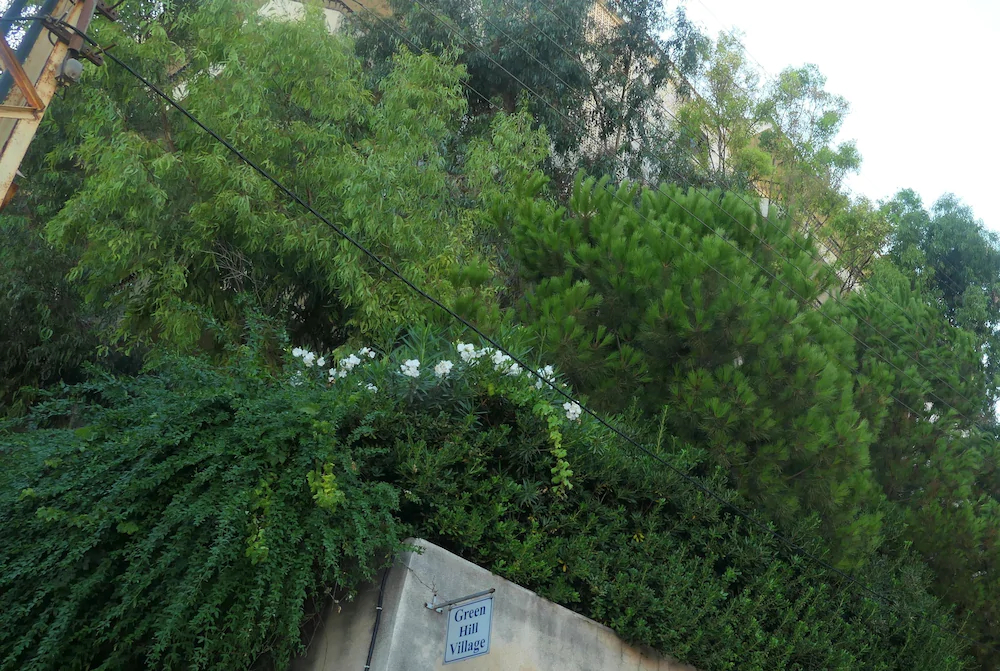 Green Hill Village