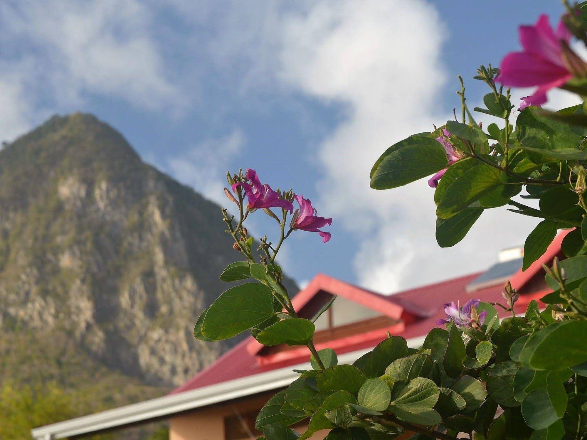 Tet Rouge Resort
