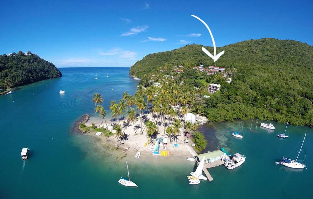 Oasis Marigot