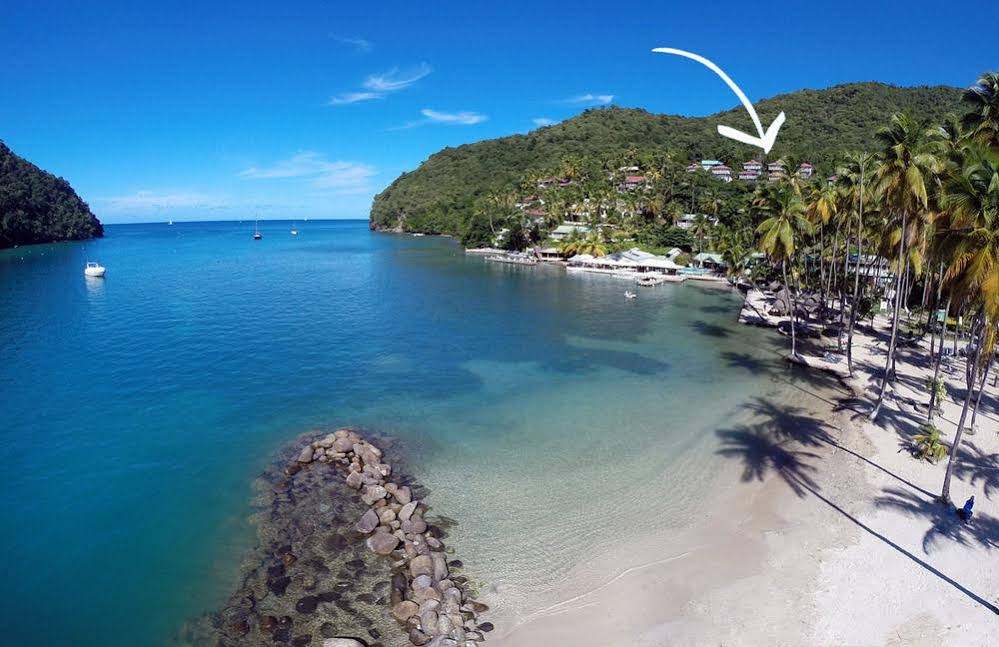 Oasis Marigot