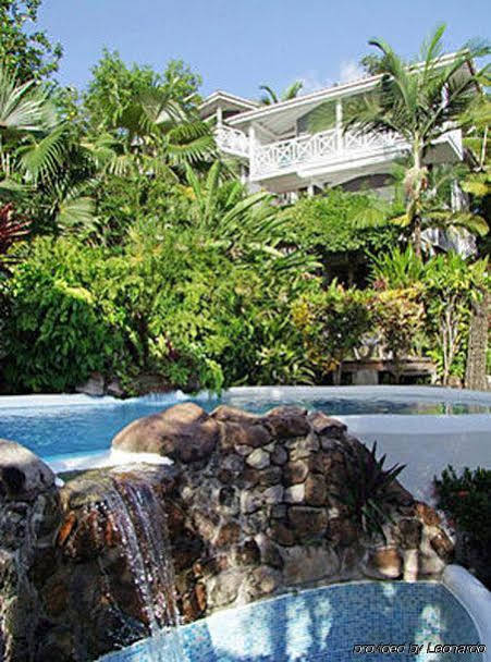 Oasis Marigot