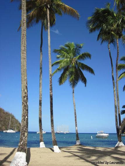 Oasis Marigot