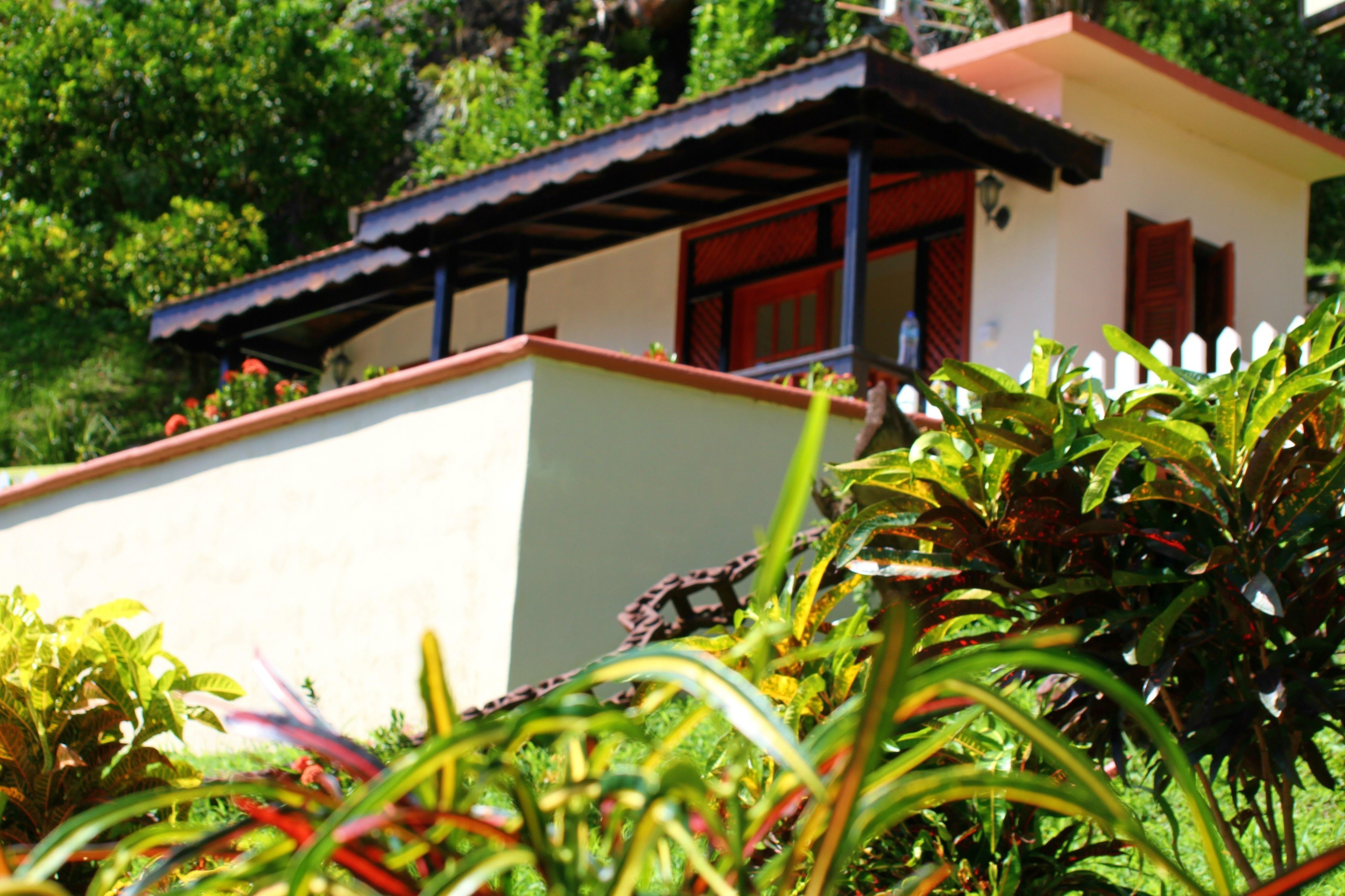 Samfi Gardens