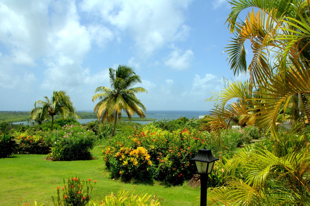 Castles In Paradise