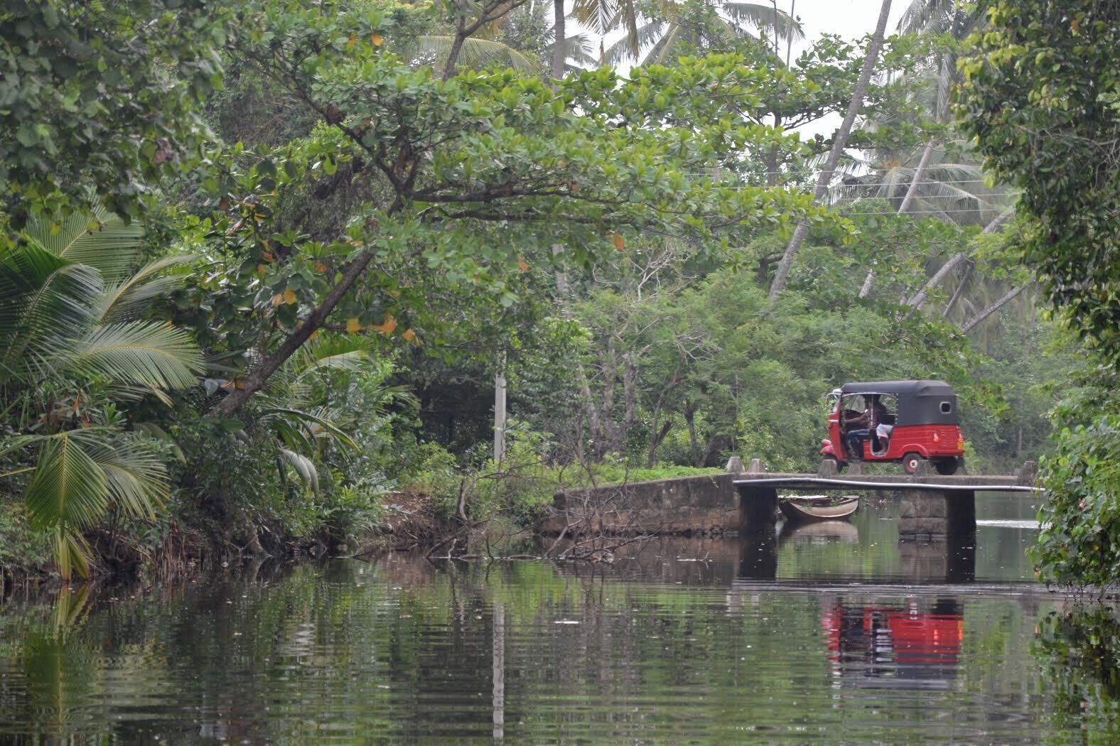 Bobo's Bed & Breakfast