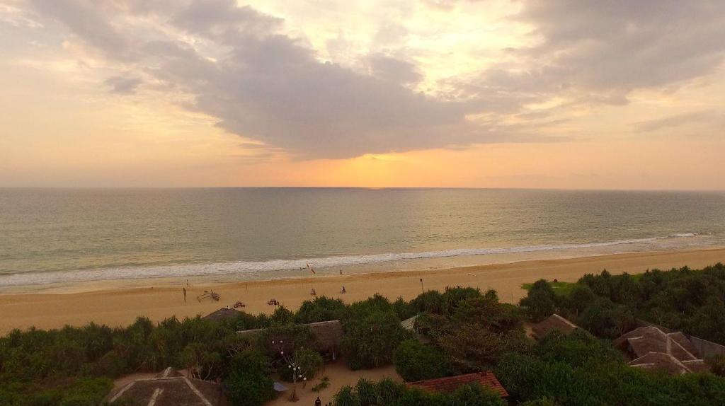 Jungle Beach Camp Ahungalla