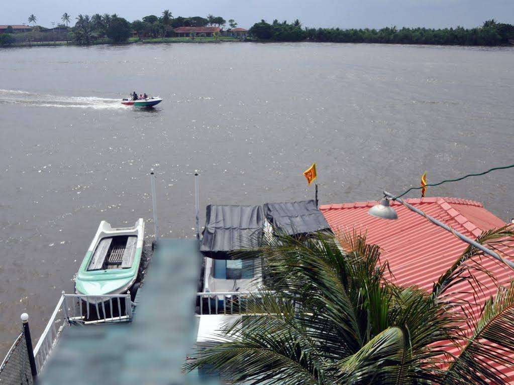 Luthmin River View