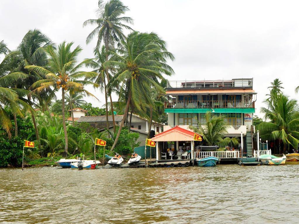 Luthmin River View