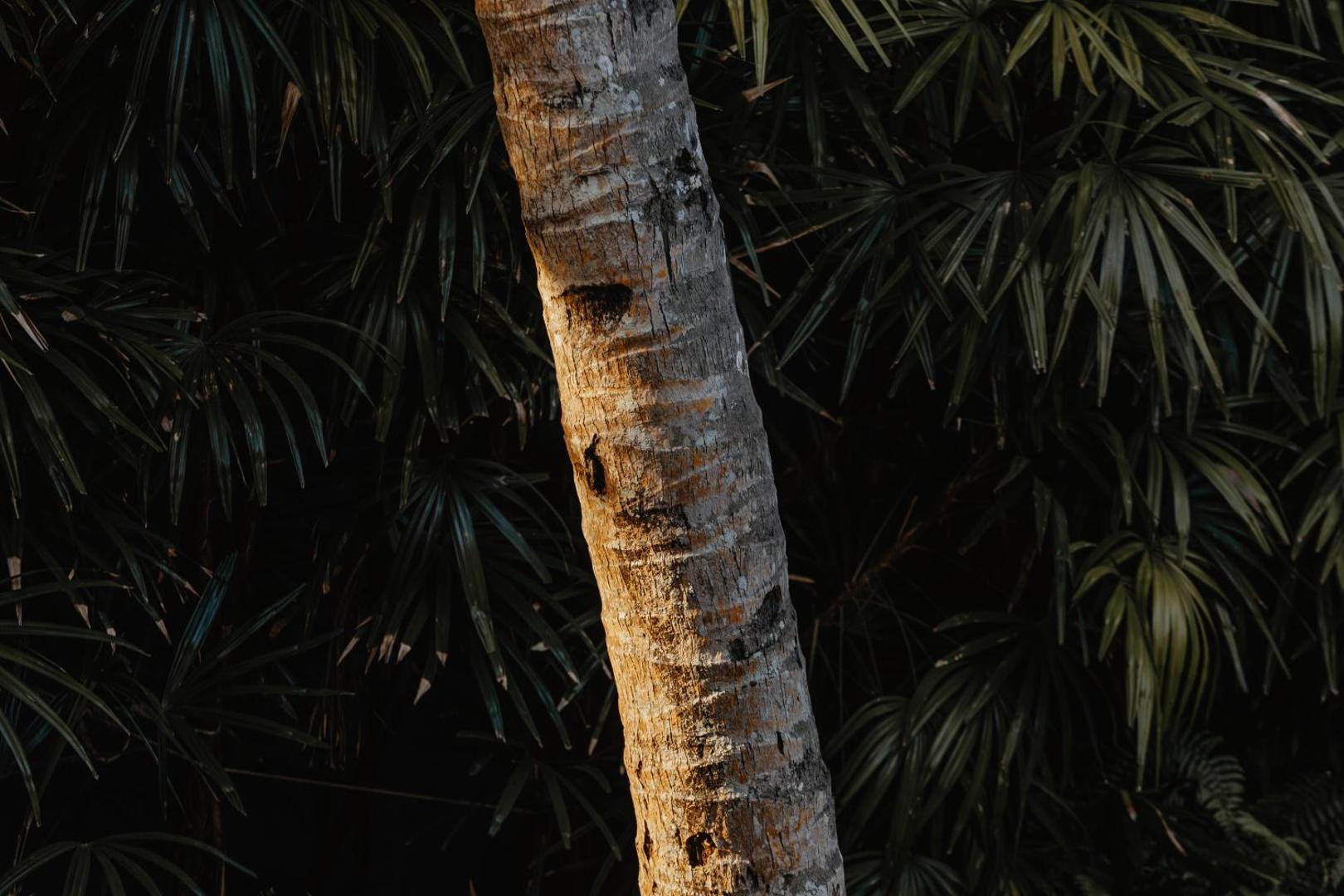 Villa Republic Bentota