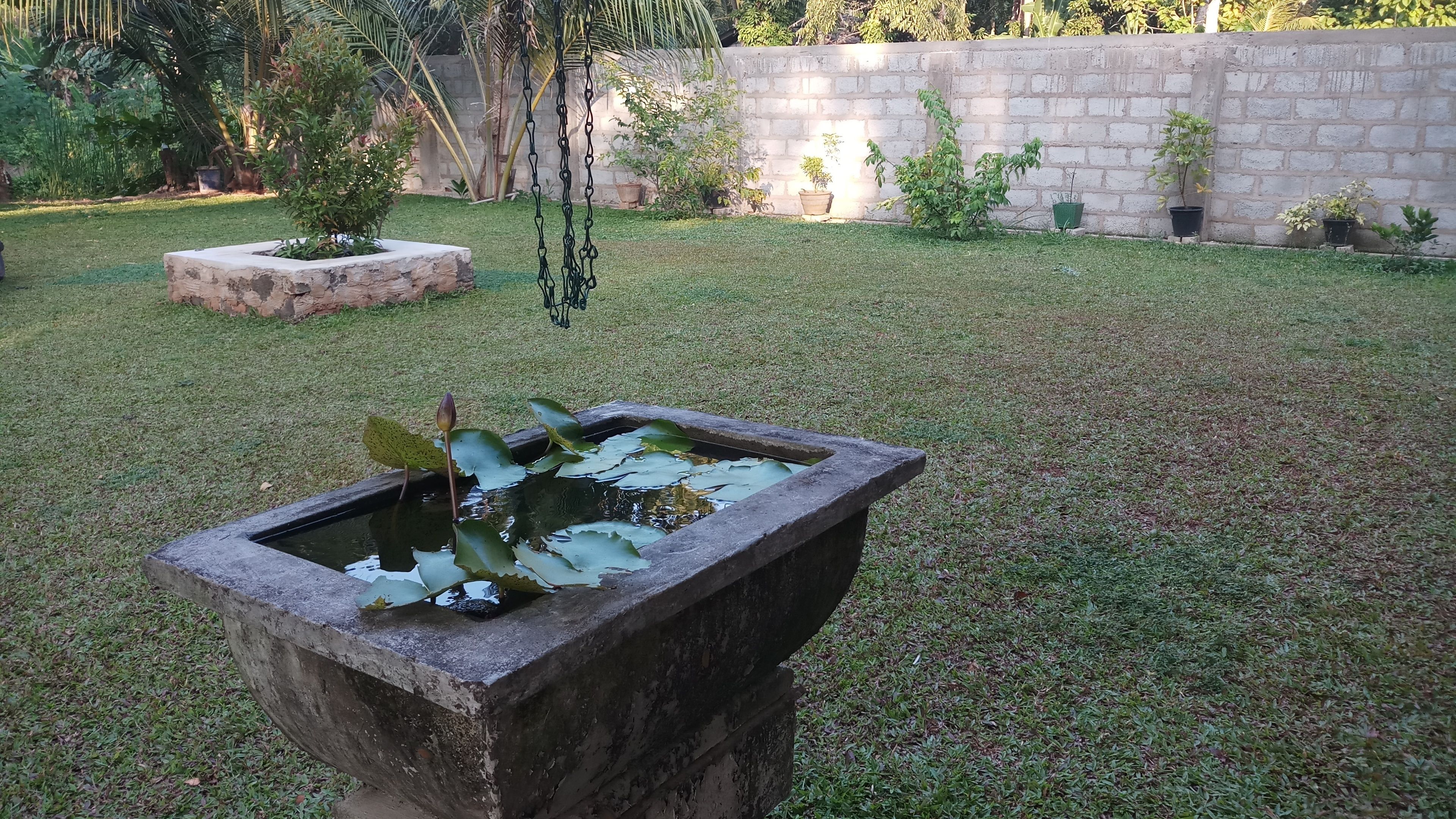 Ruwinsons Canal Garden