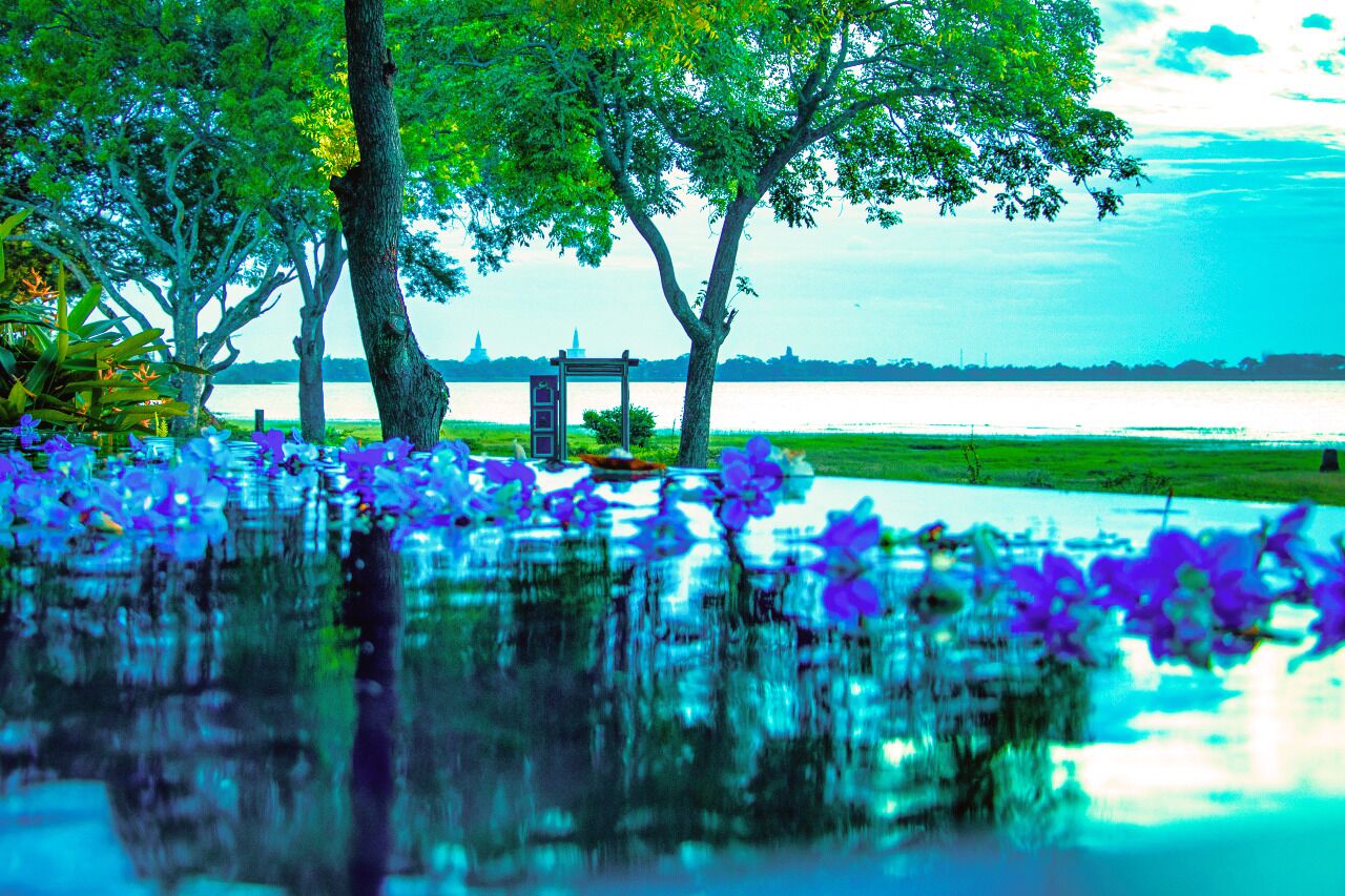 The Lake Forest Hotel