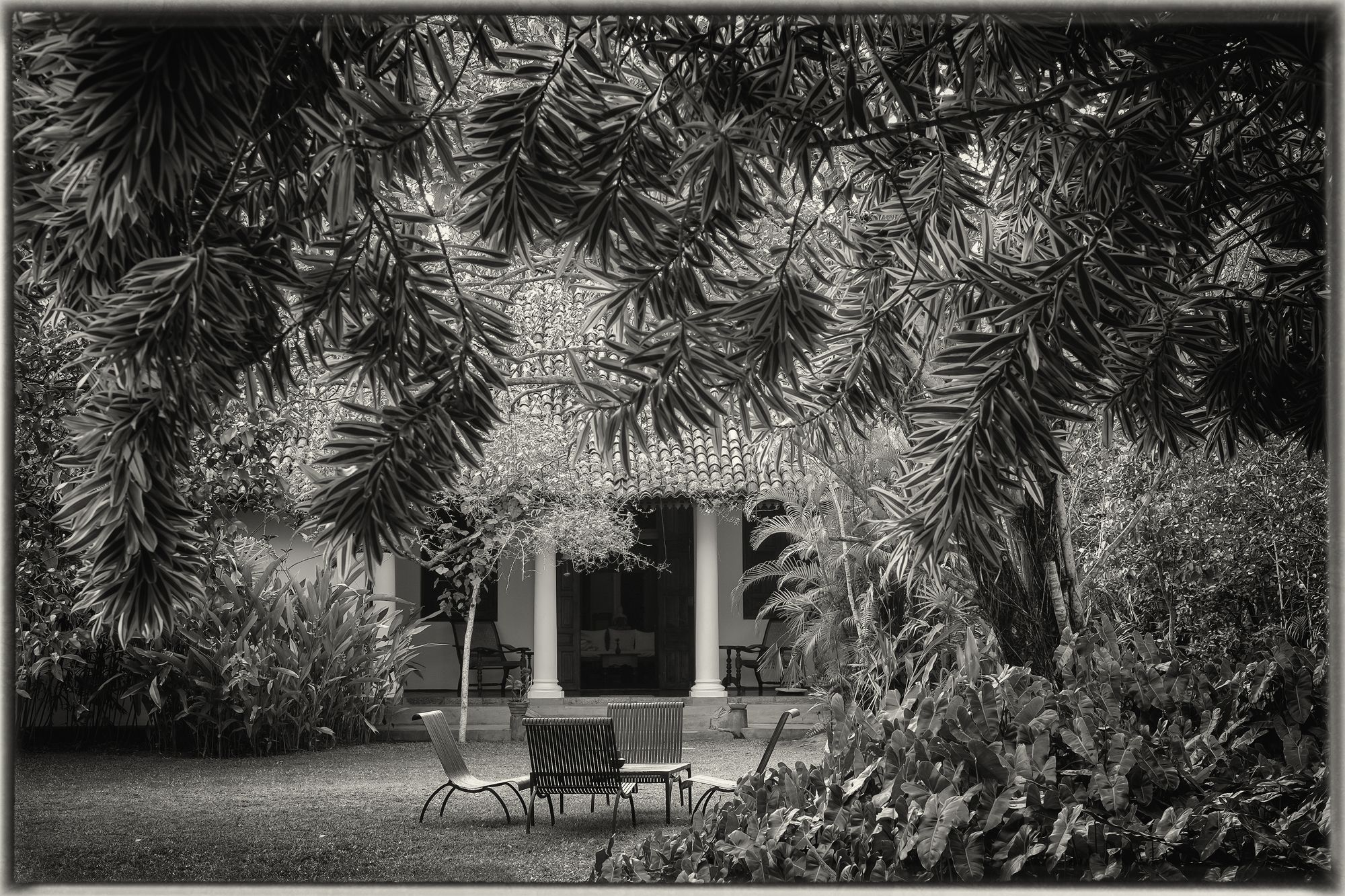 Nisala Arana Boutique Hotel