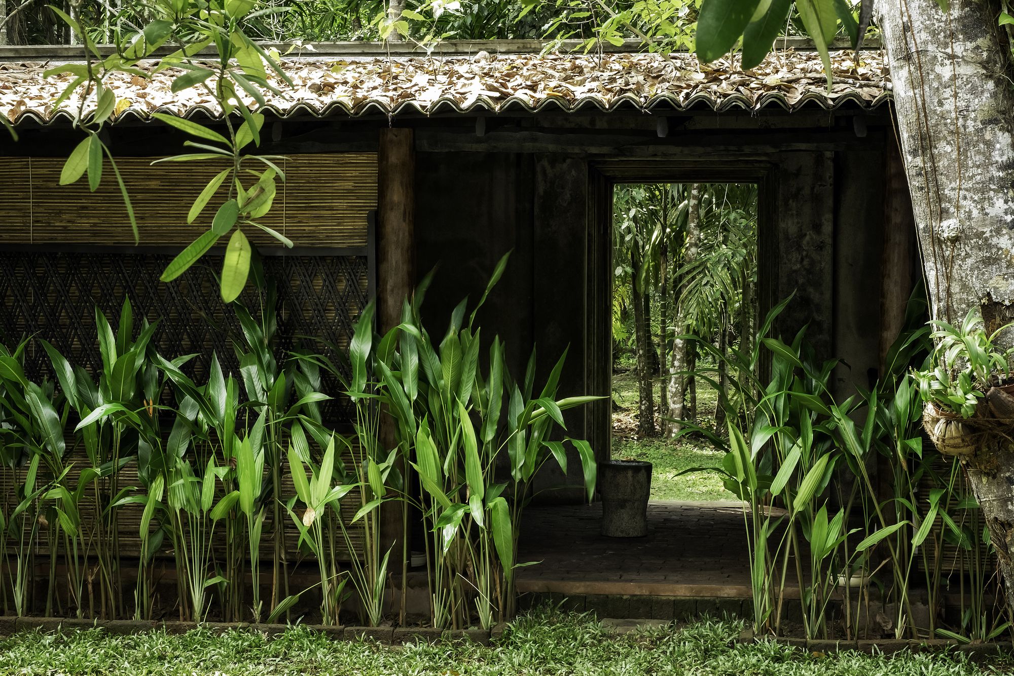 Nisala Arana Boutique Hotel