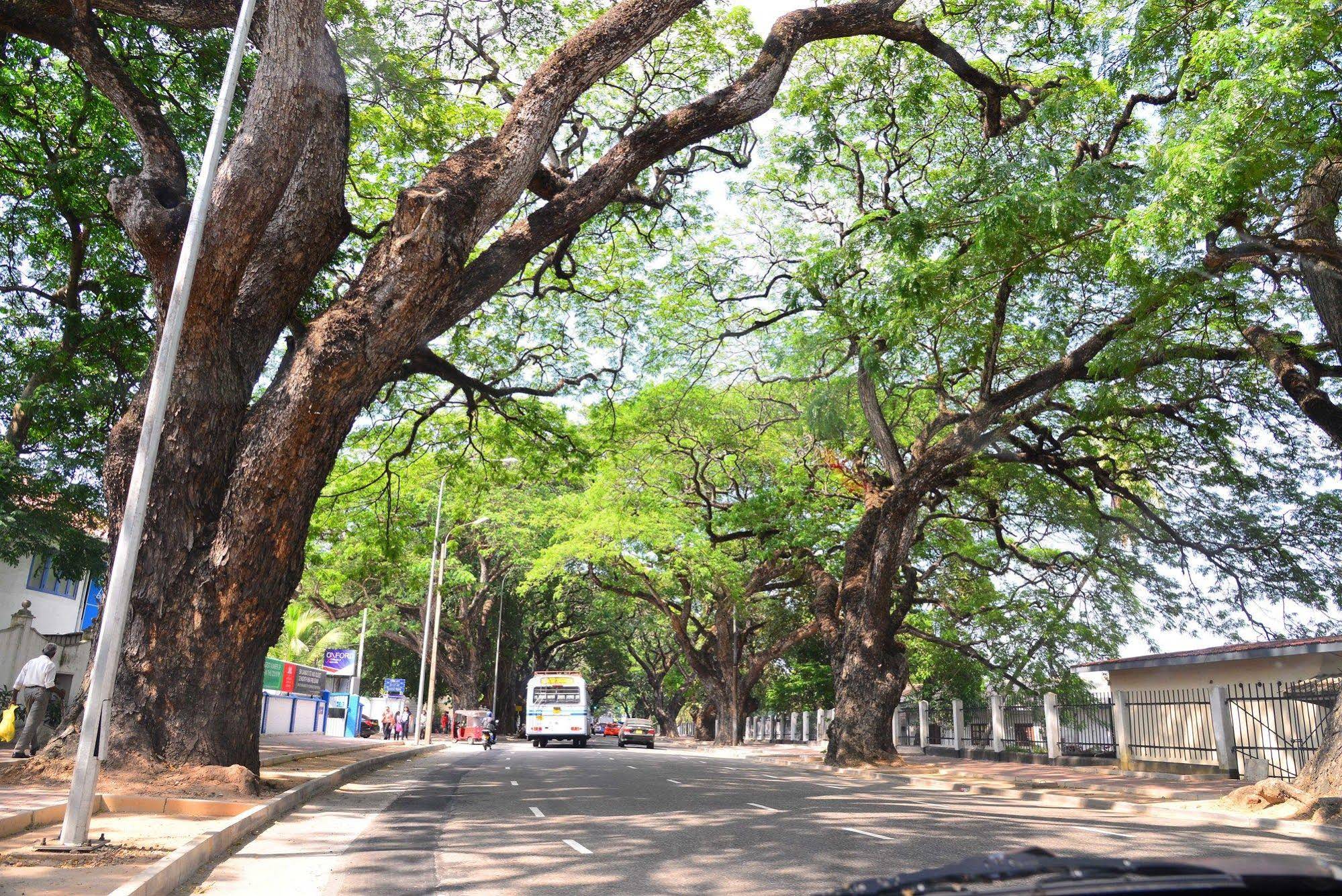 Colombo Villa