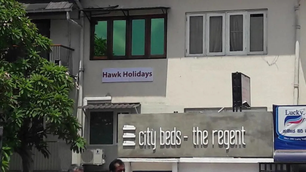 Hawk Holidays