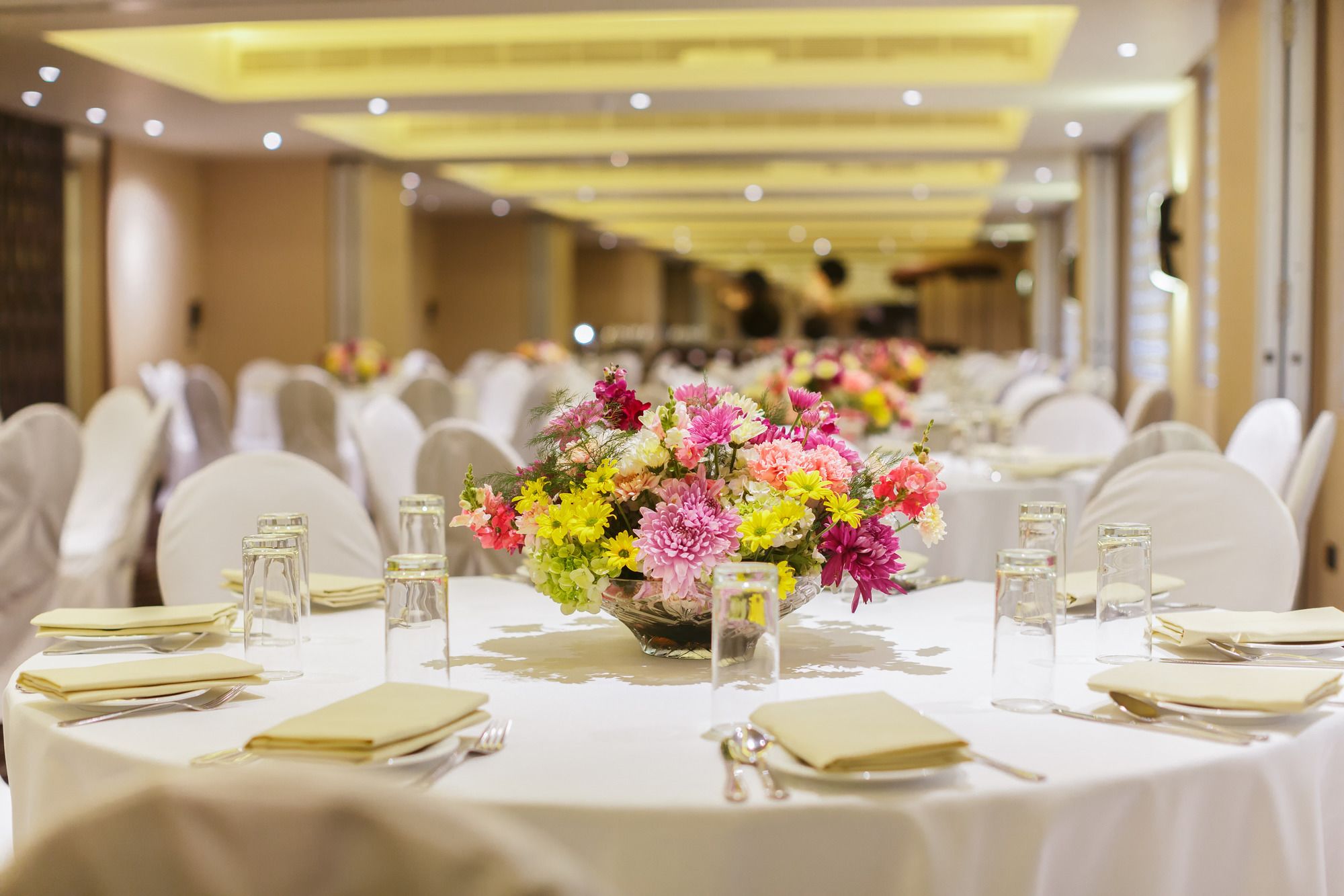 Renuka City Hotel