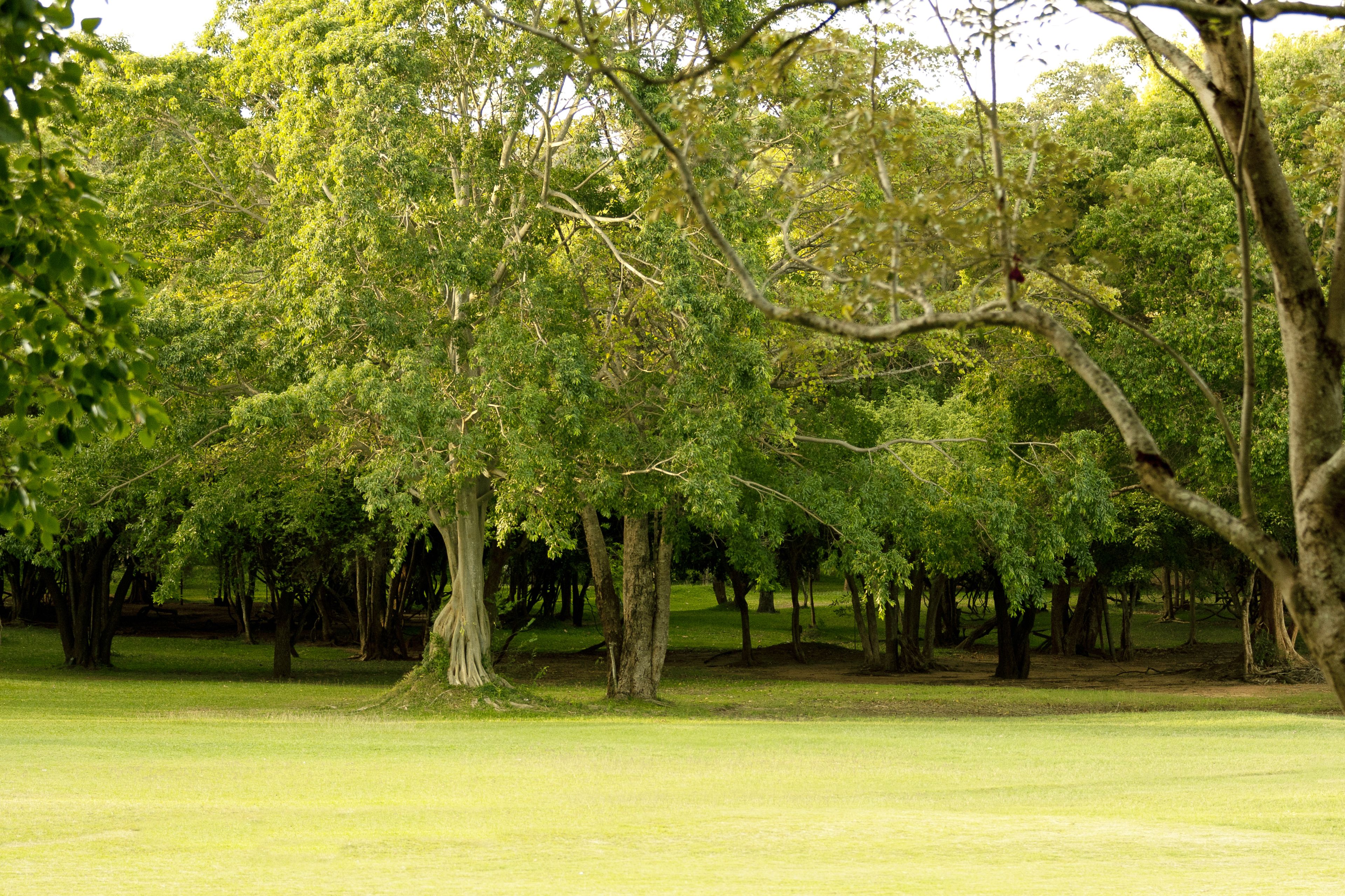 Amaya Lake Hotelresort