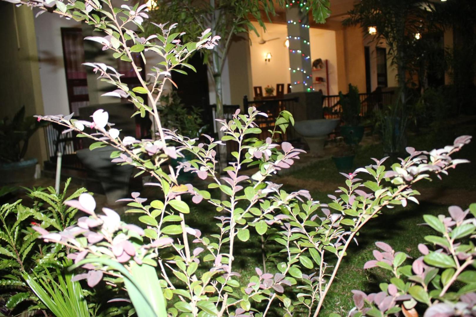 Bed & Bicycle Hostel Dambulla