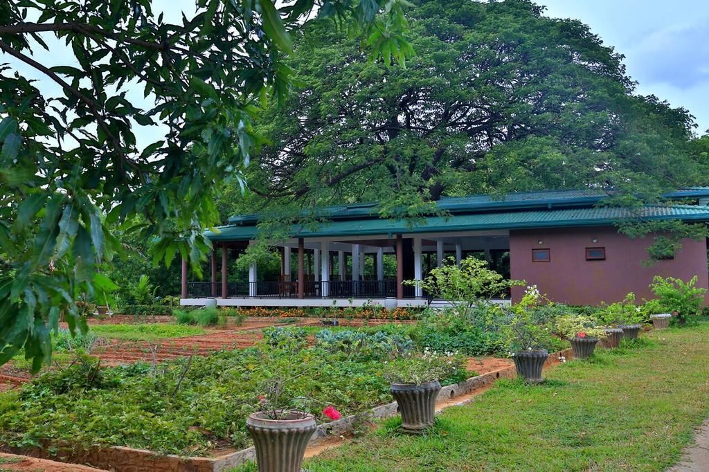 Grand & Gangula