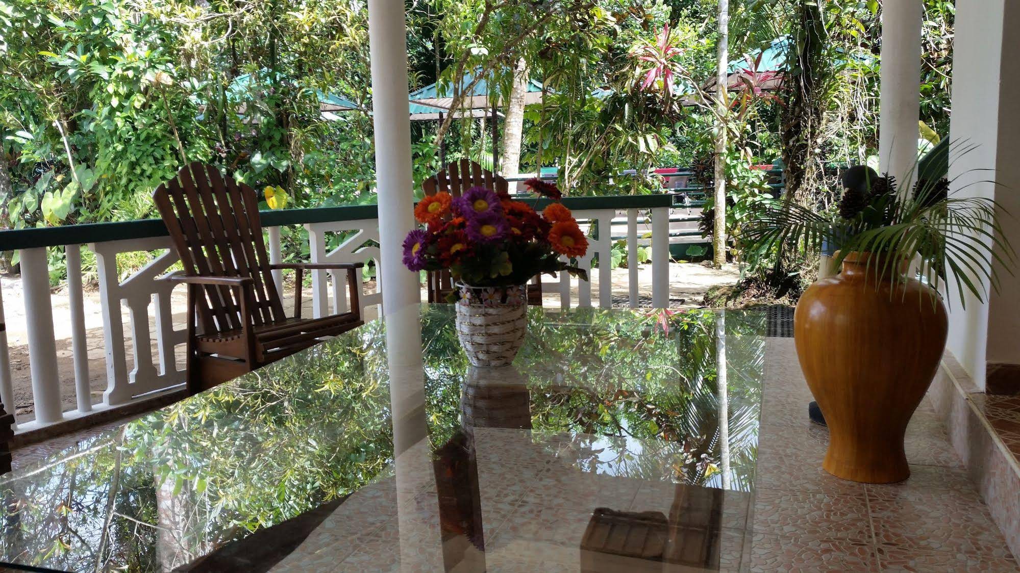 Rainforest Lodge