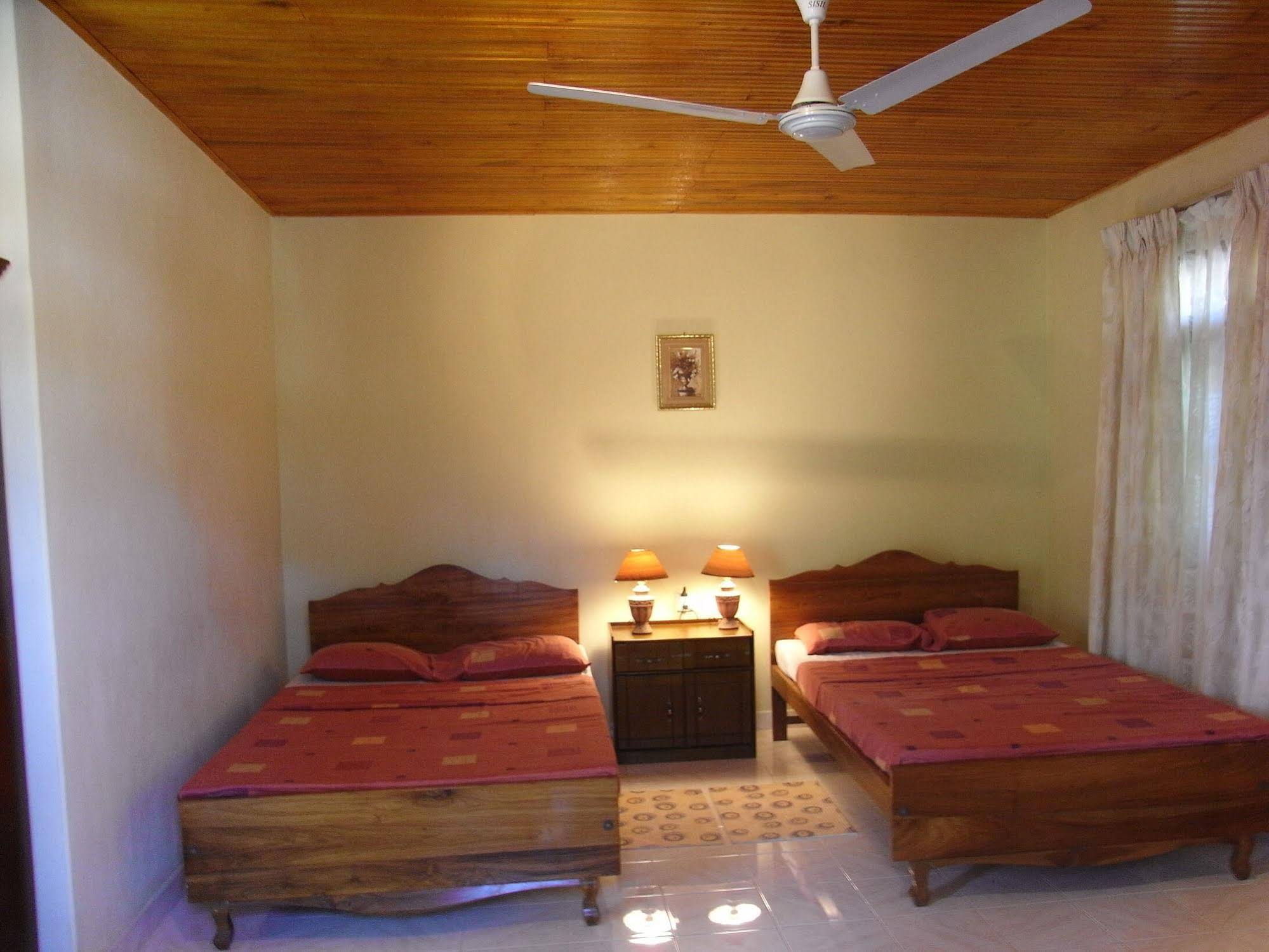 Rainforest Lodge