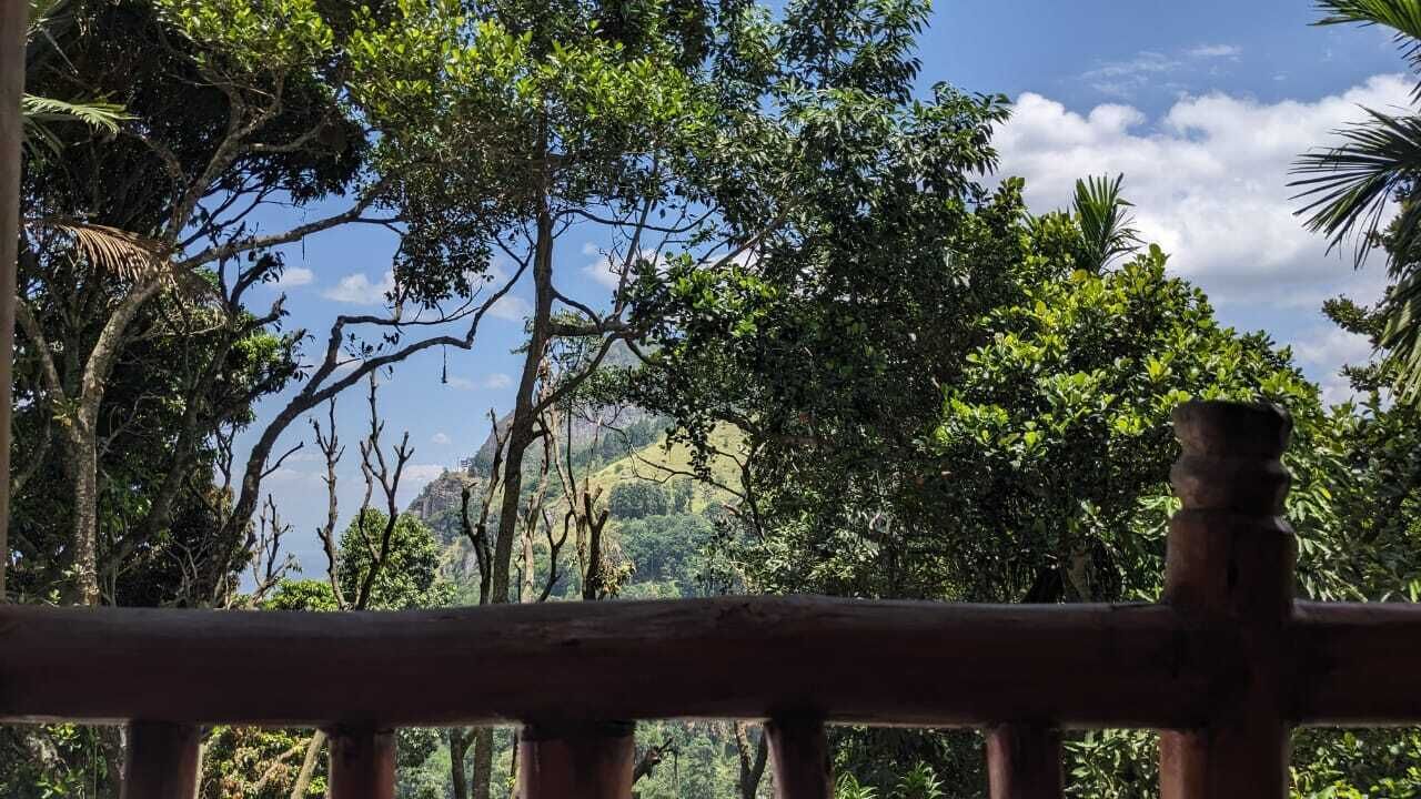 Ella Nature Nest