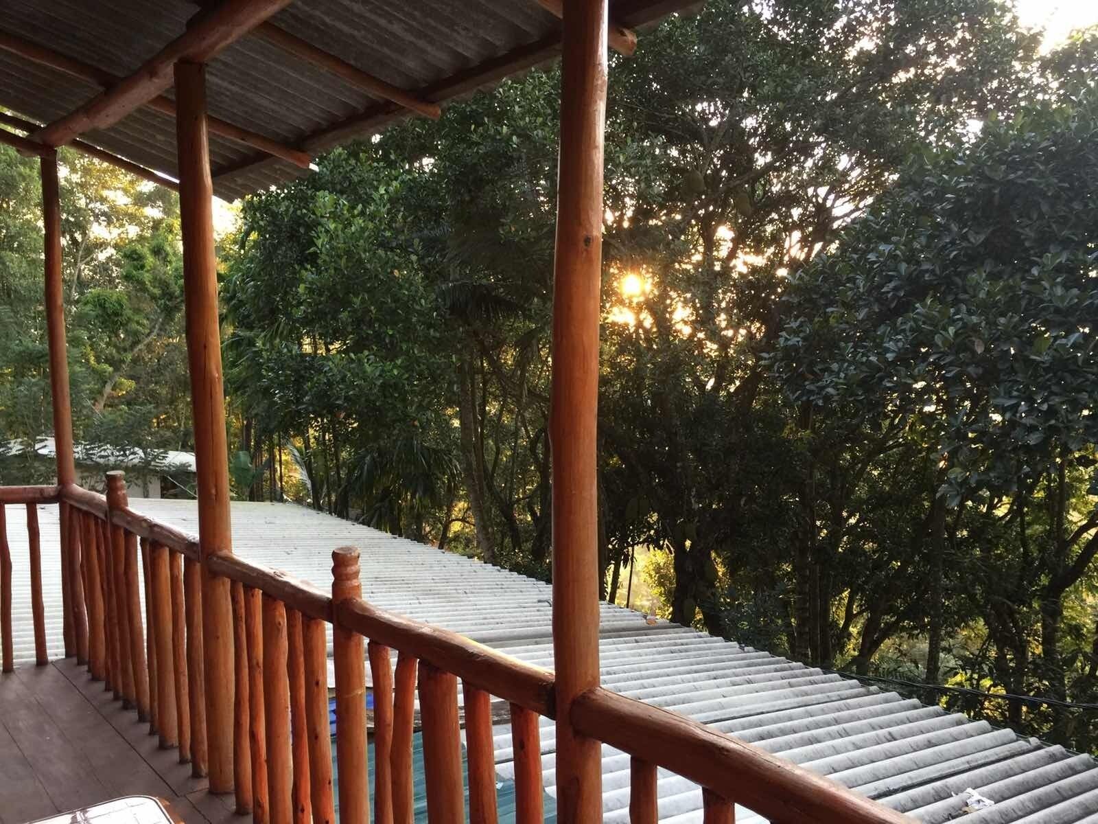 Ella Nature Nest