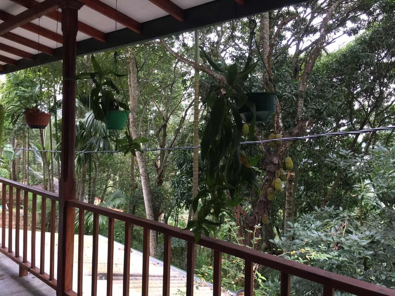 Ella Nature Nest