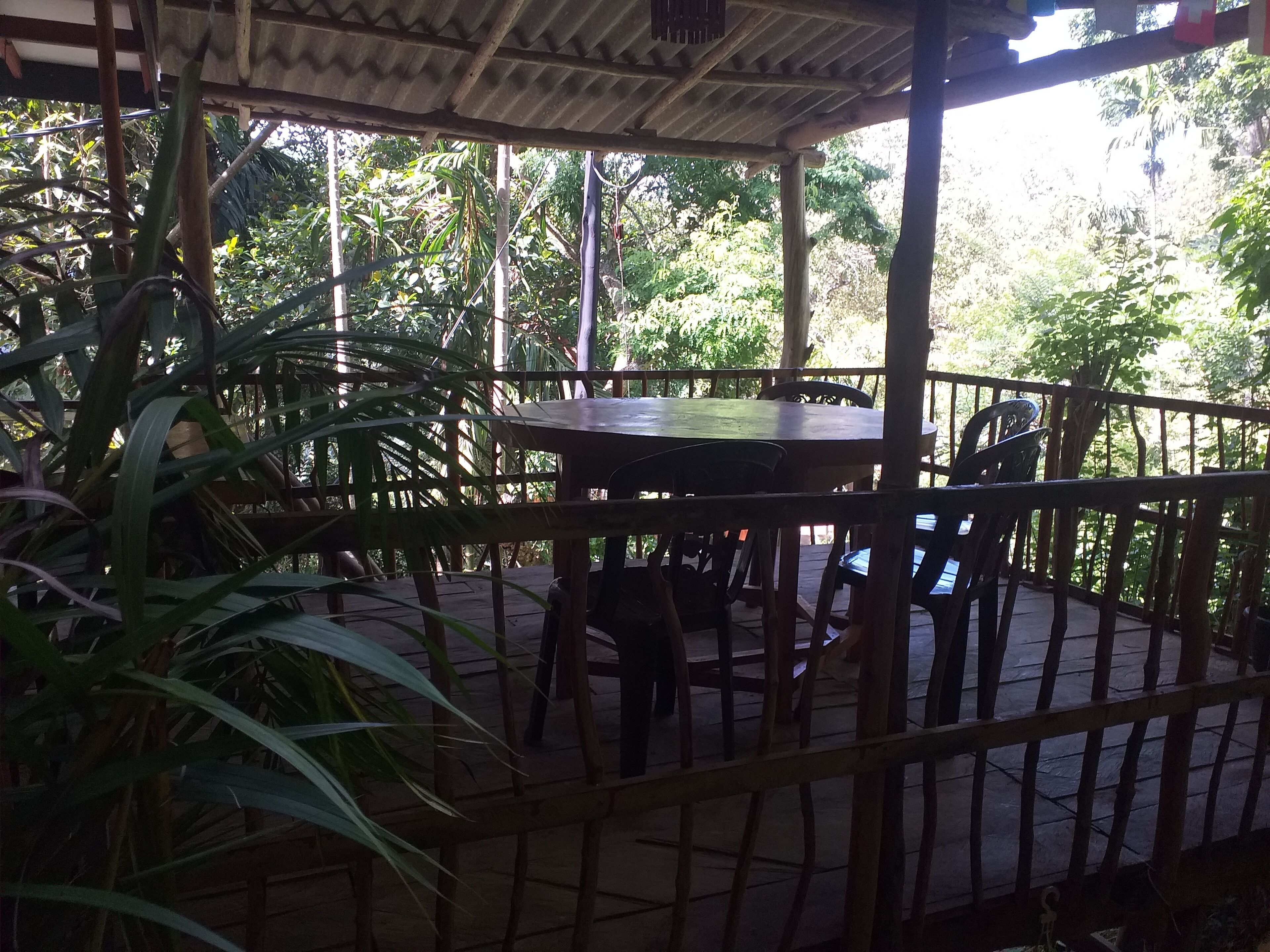 Ella Nature Nest