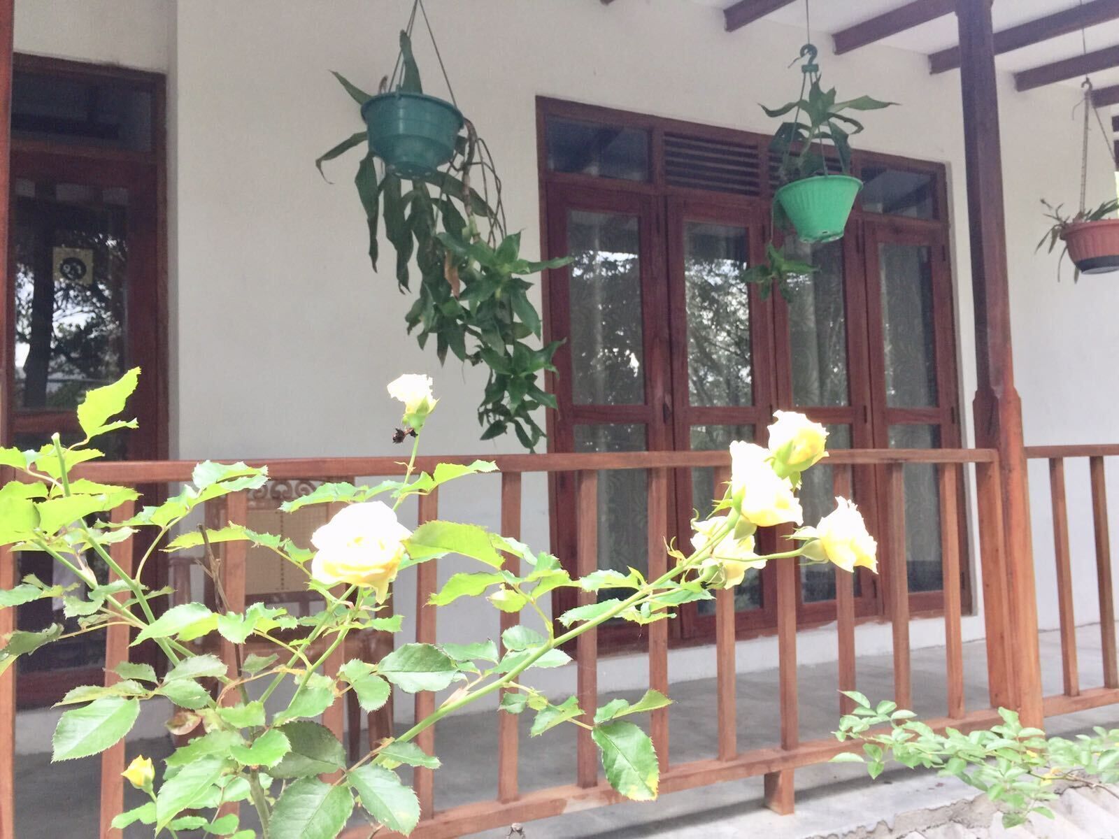 Ella Nature Nest