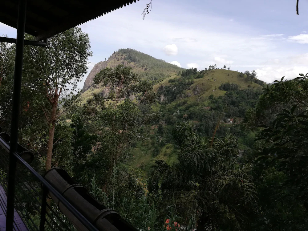 Ella Tea Garden