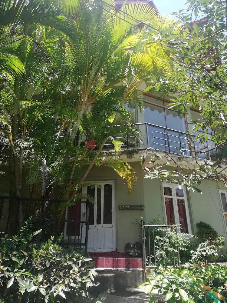 Ella Tea Garden